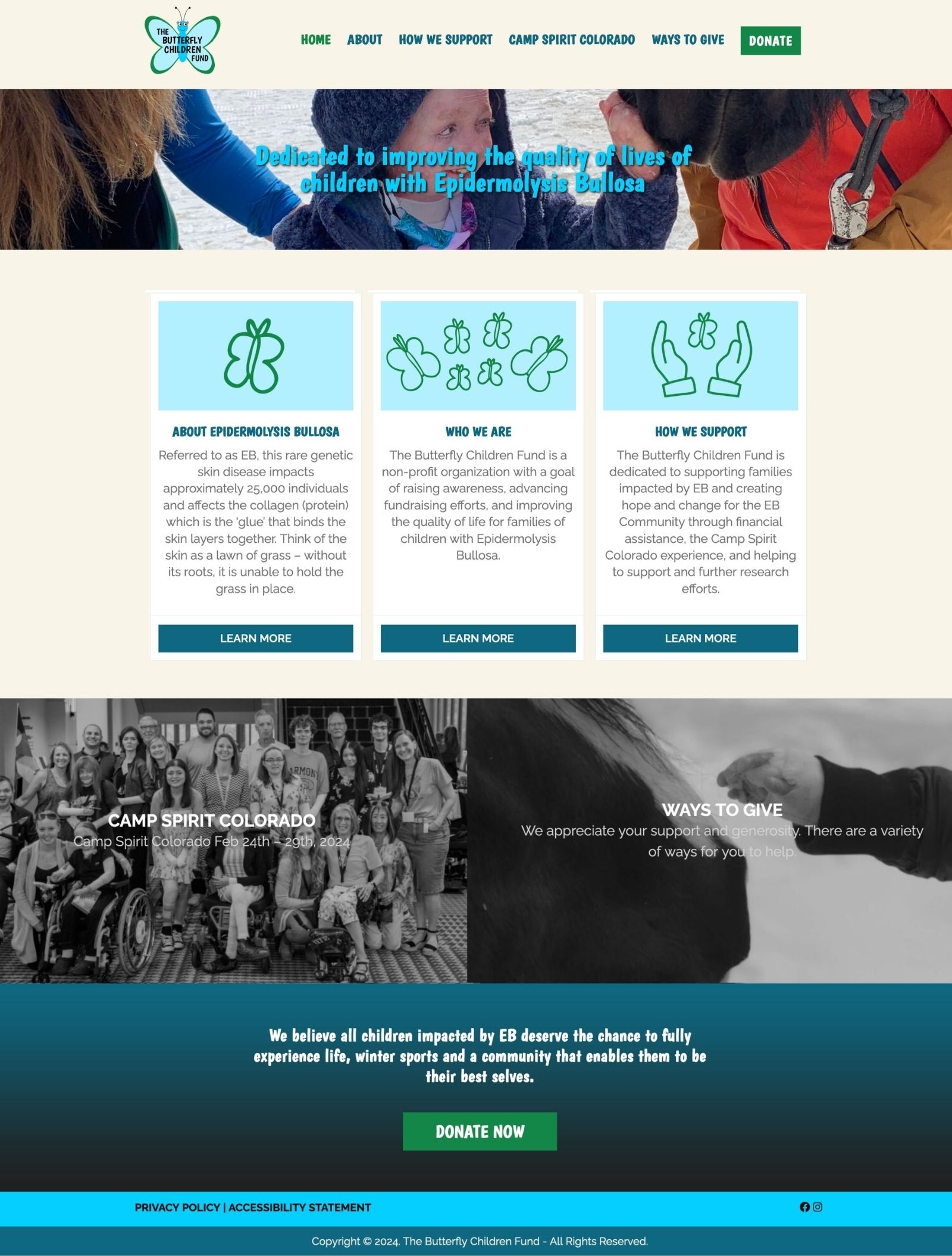 full size screenshot of The Butterfly Children Fund website